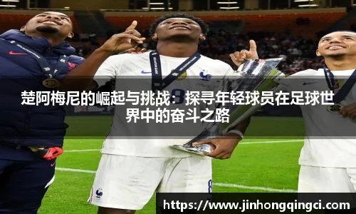 乐玩lewin国际